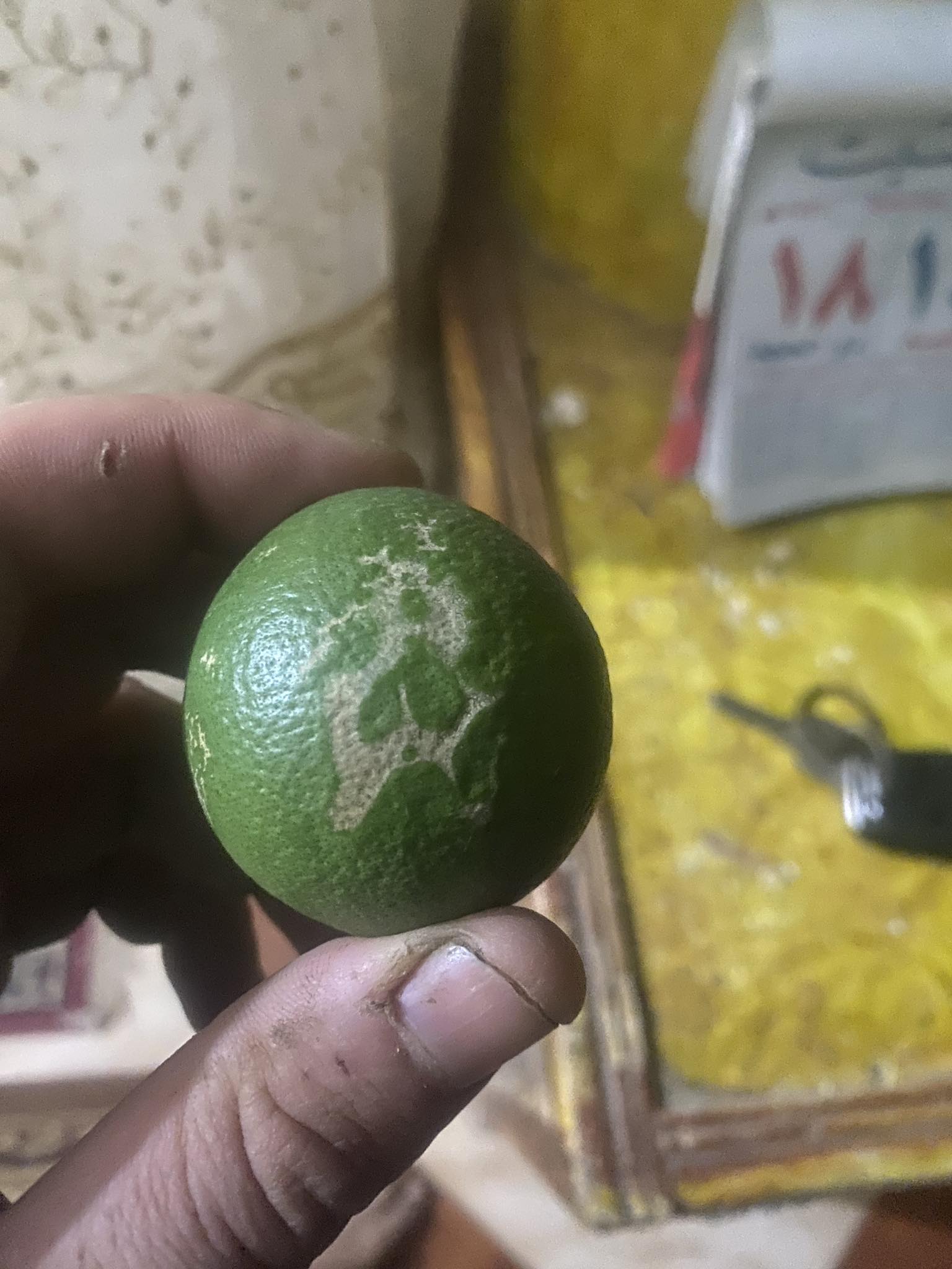 علاج الاصابه الي في البرتقال دي اي؟؟؟